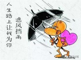 等你飞上枝头我就离开
